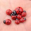 Japanese groceries Seven Star ladybird micro bonsai multi meat ornaments garden decoration